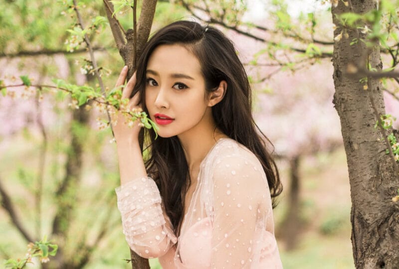 Lý Thuần xinh đẹp và tài năng