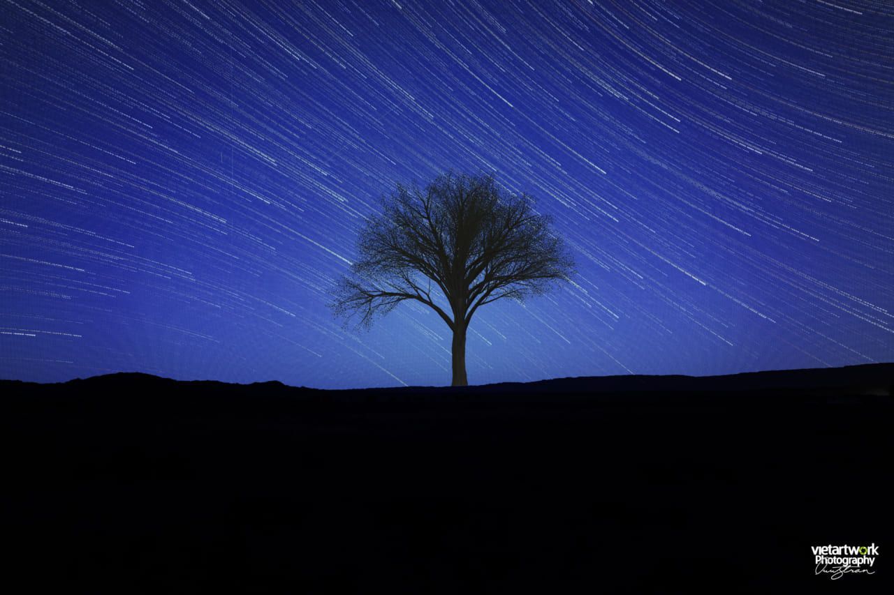 Chụp Star Trail ở Bruneau Sand Dunes