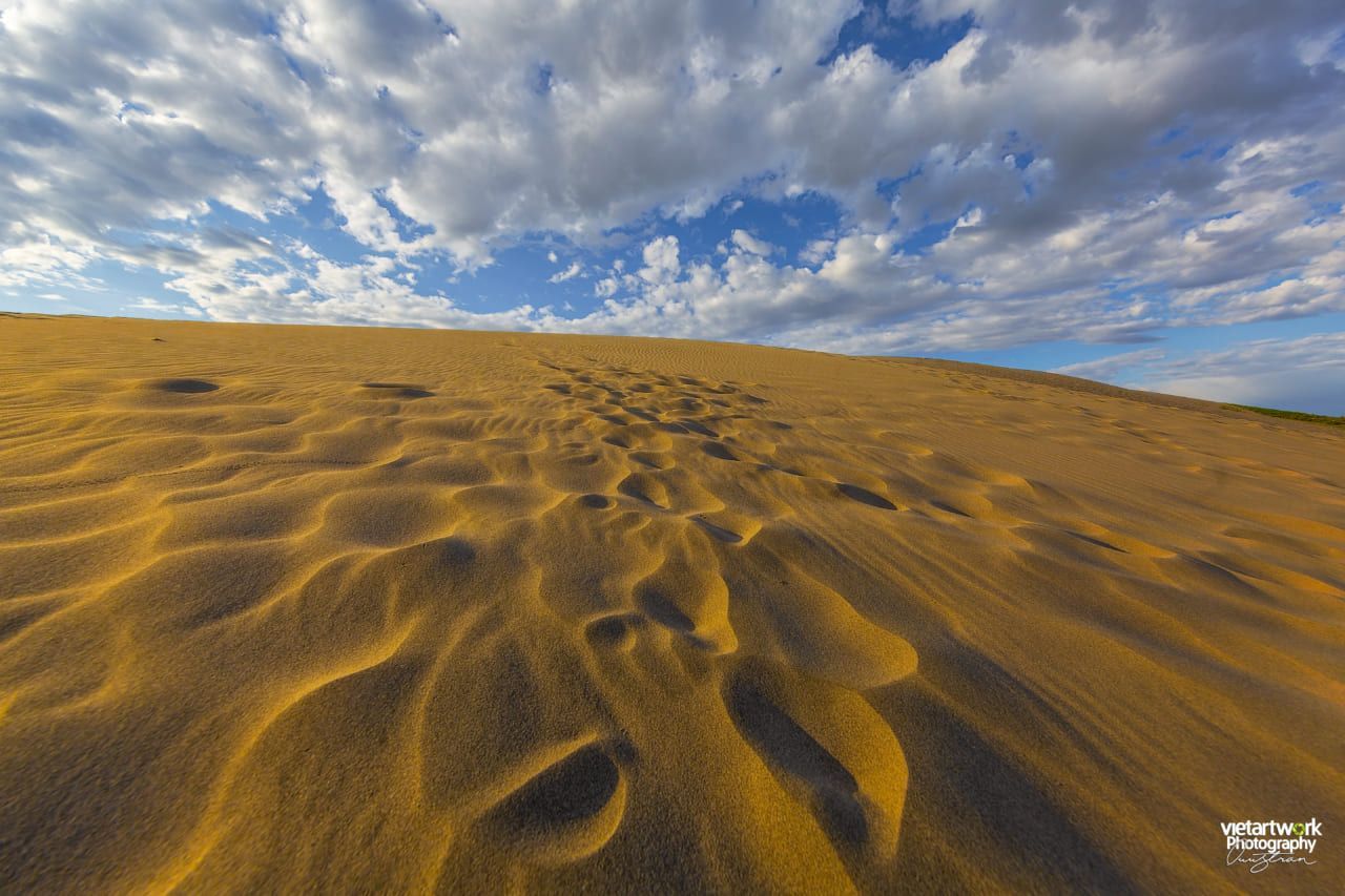 Đồi cát vùng Bruneau Sand Dunes ảnh 2