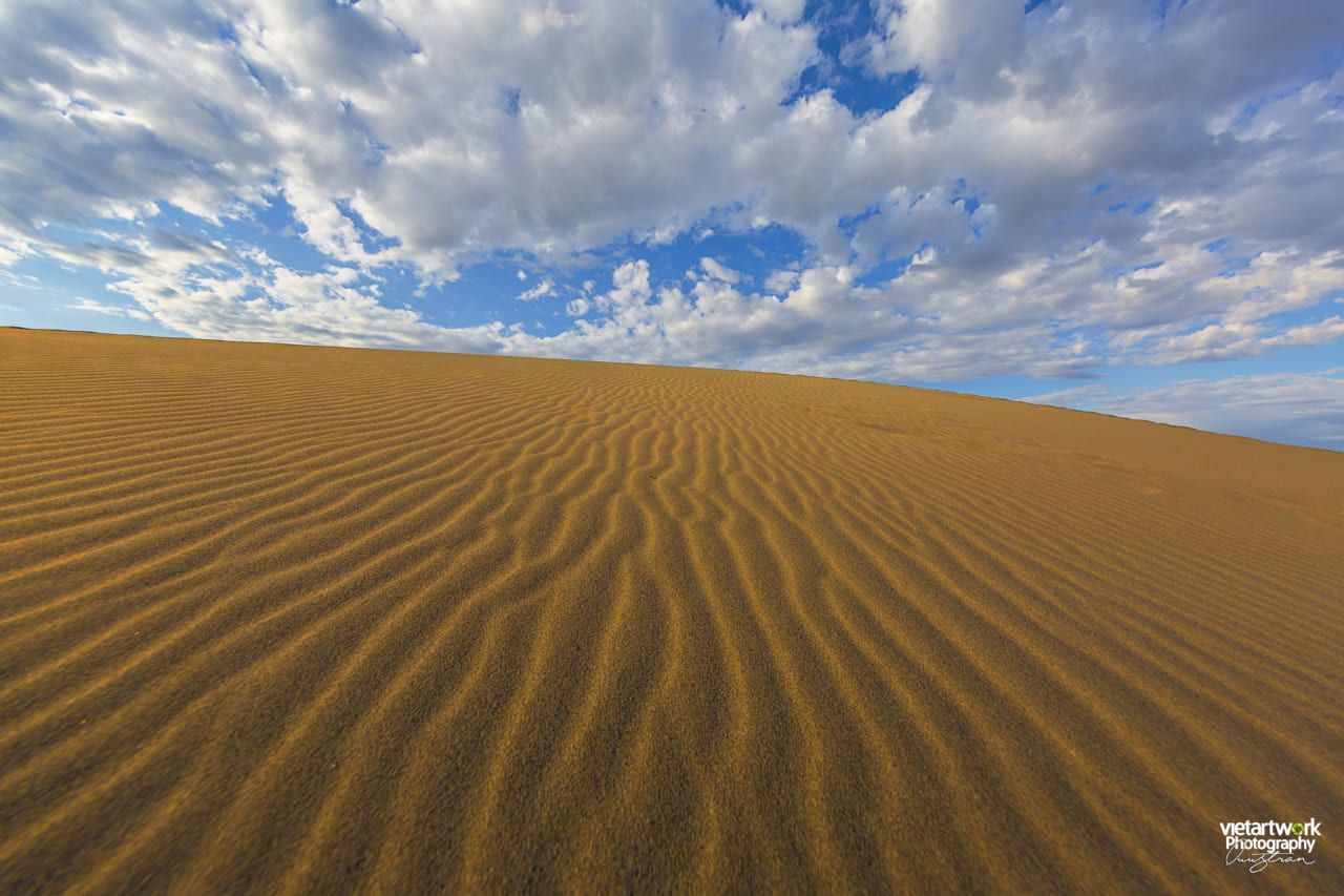 Đồi cát vùng Bruneau Sand Dunes ảnh 3