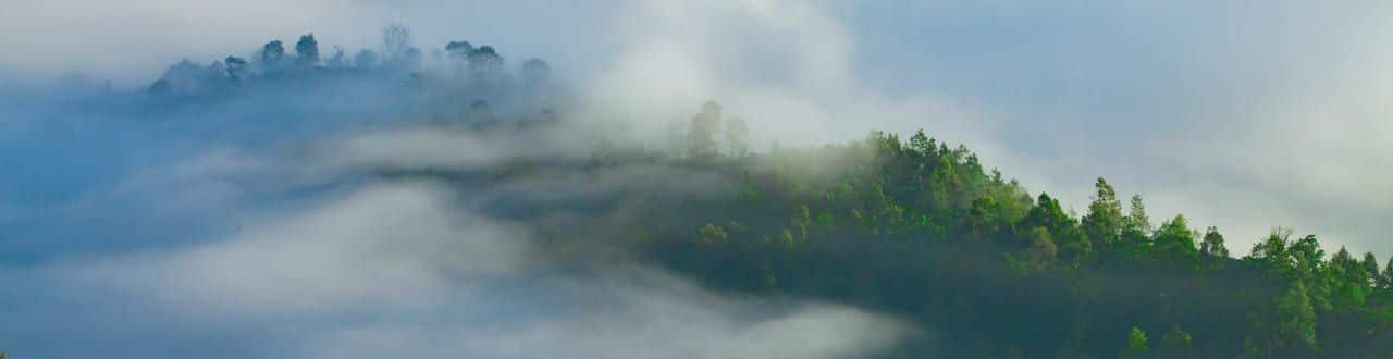 Những ngọn đồi xung quanh Linh Quy Pháp Ấn