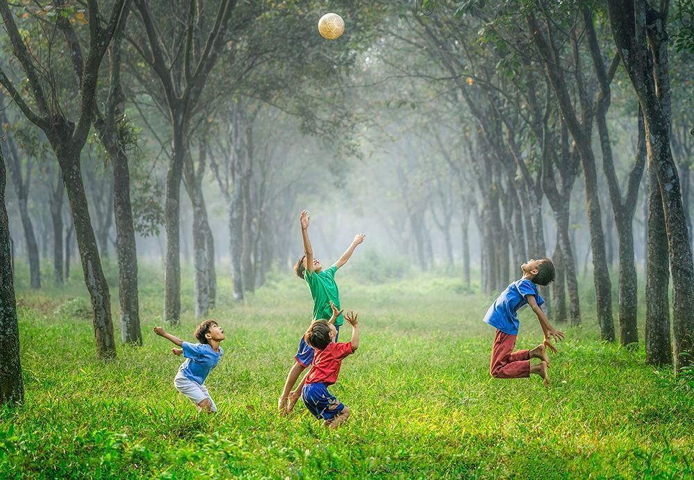 Minh họa trại hoa vàng của Nguyễn Nhật Ánh