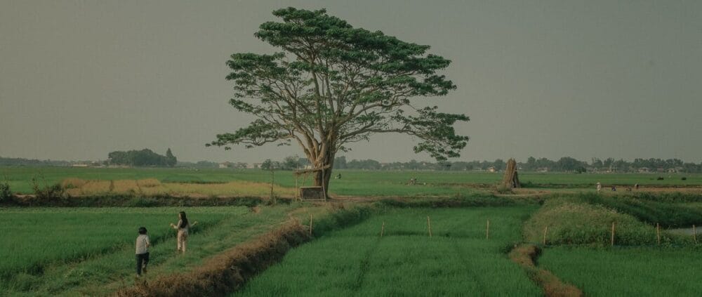 Những cảnh quay hết sức nên thơ ở ngôi làng Đo Đo