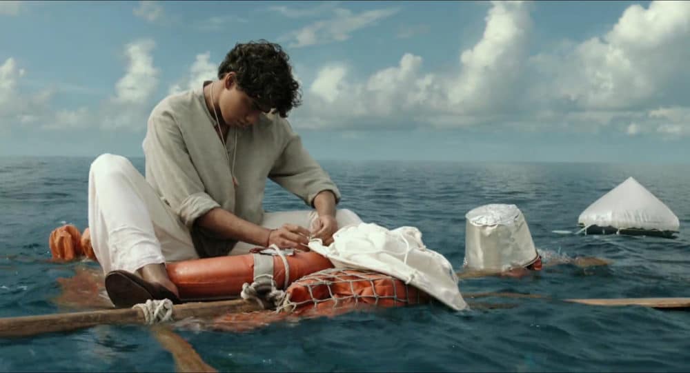 Suraj Sharma vai Pi