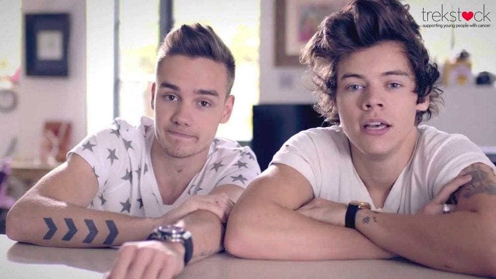 Liam Payne và Harry Styles trong dự án hợp tác với Trekstock