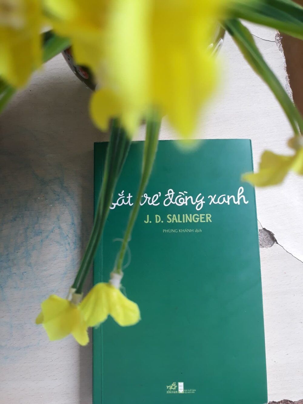 Ảnh sách Bắt trẻ đồng xanh
