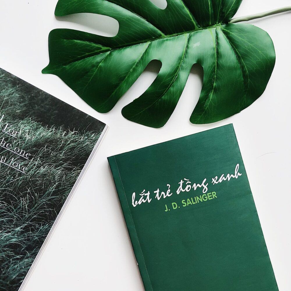 Hình ảnh Bắt trẻ đồng xanh