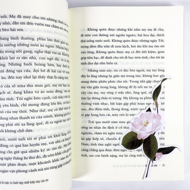 sách của bạch lạc mai
