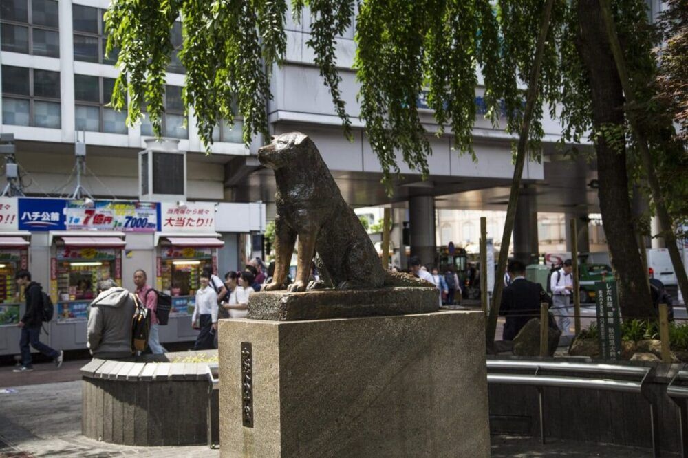 Tượng Hachiko ở ga Shibuya