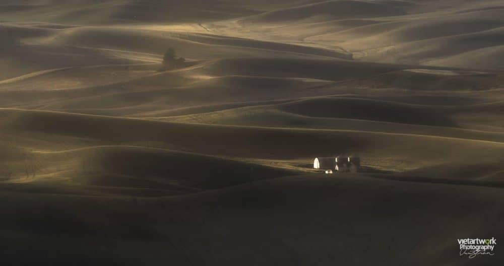 Ban trưa ở Palouse
