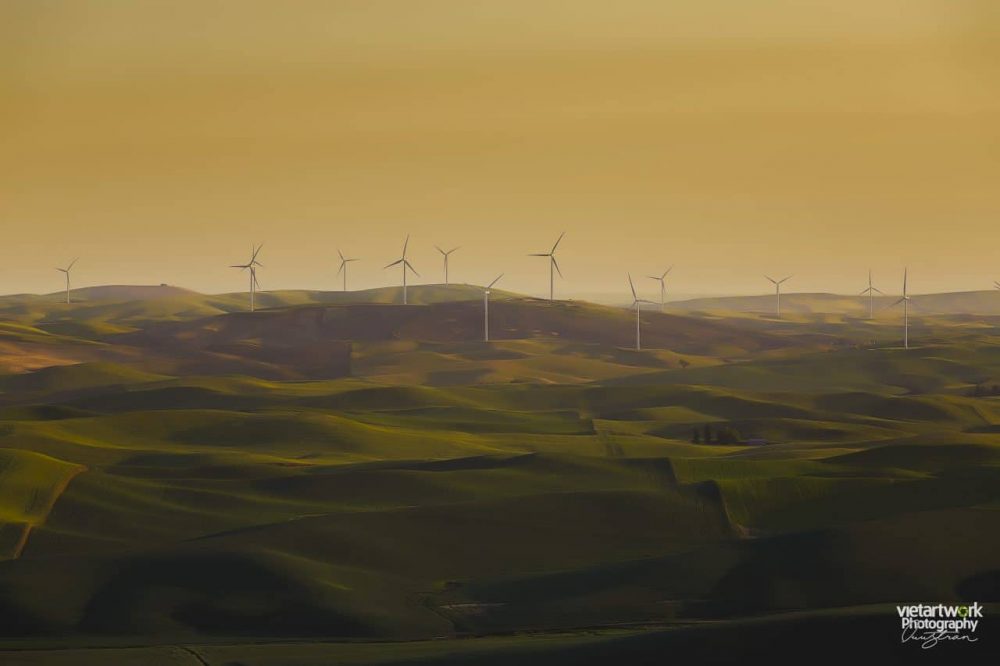 Cánh đồng quạt gió ở Palouse
