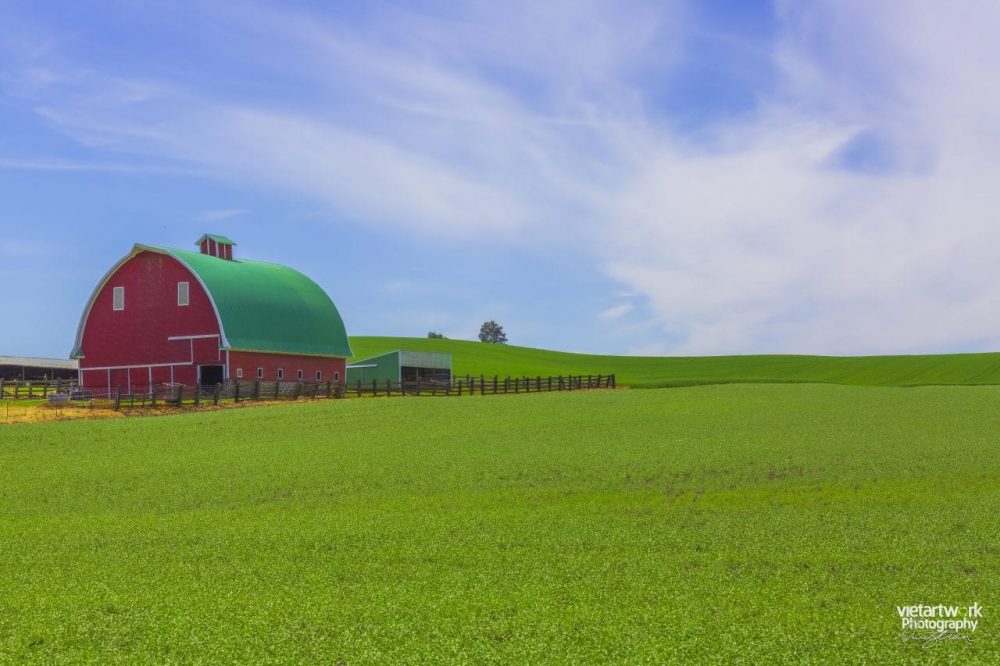 Chuồng trại ở Palouse
