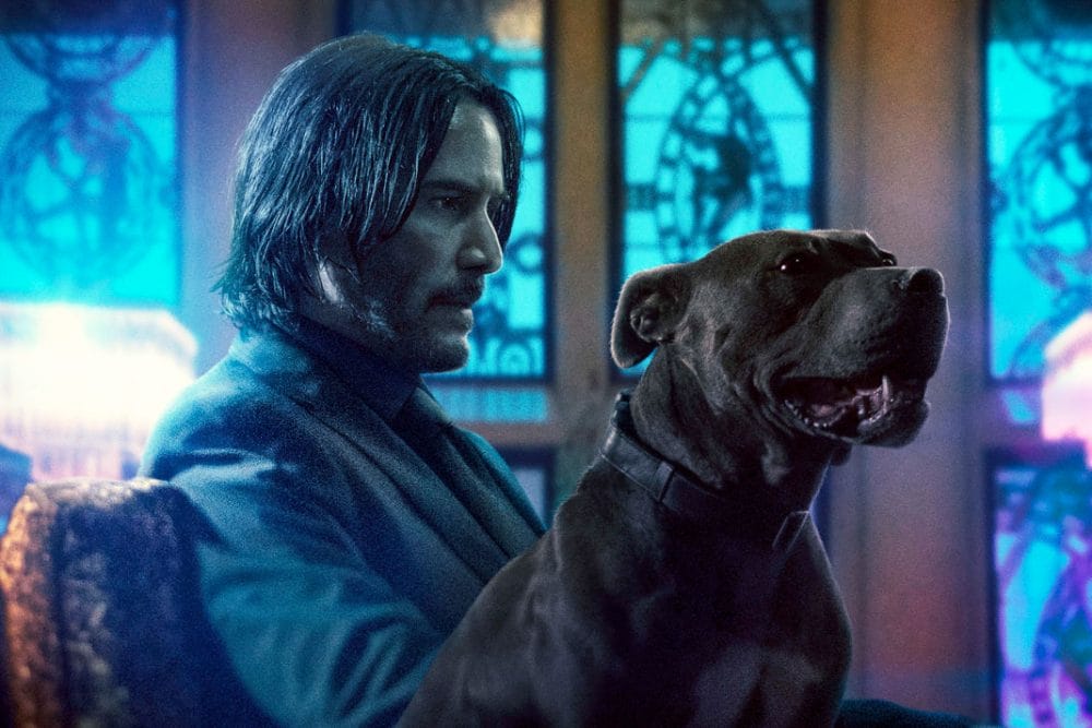 Keanu Reeves đã và đang rất thành công trong vai John Wick