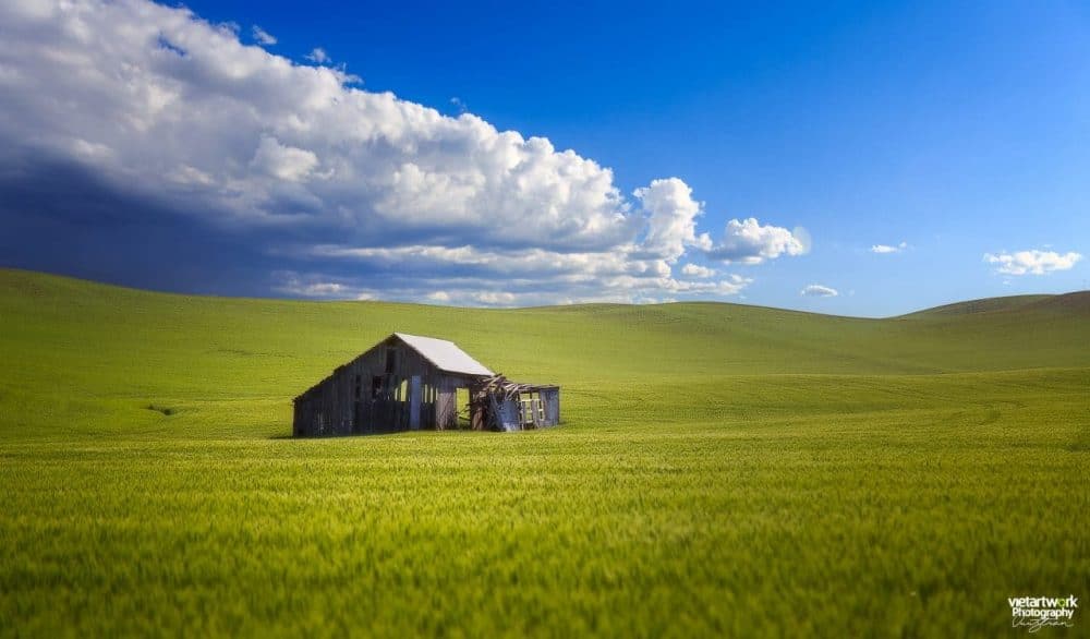 Kho thóc mục nát ở Palouse