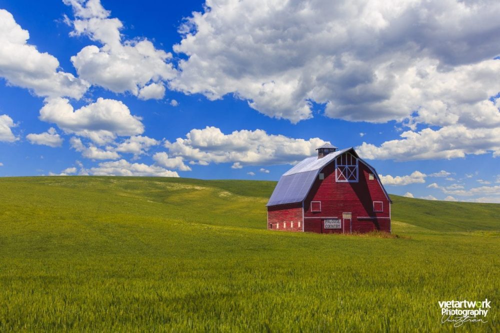 Nhà kho cho gia súc ở vùng Palouse