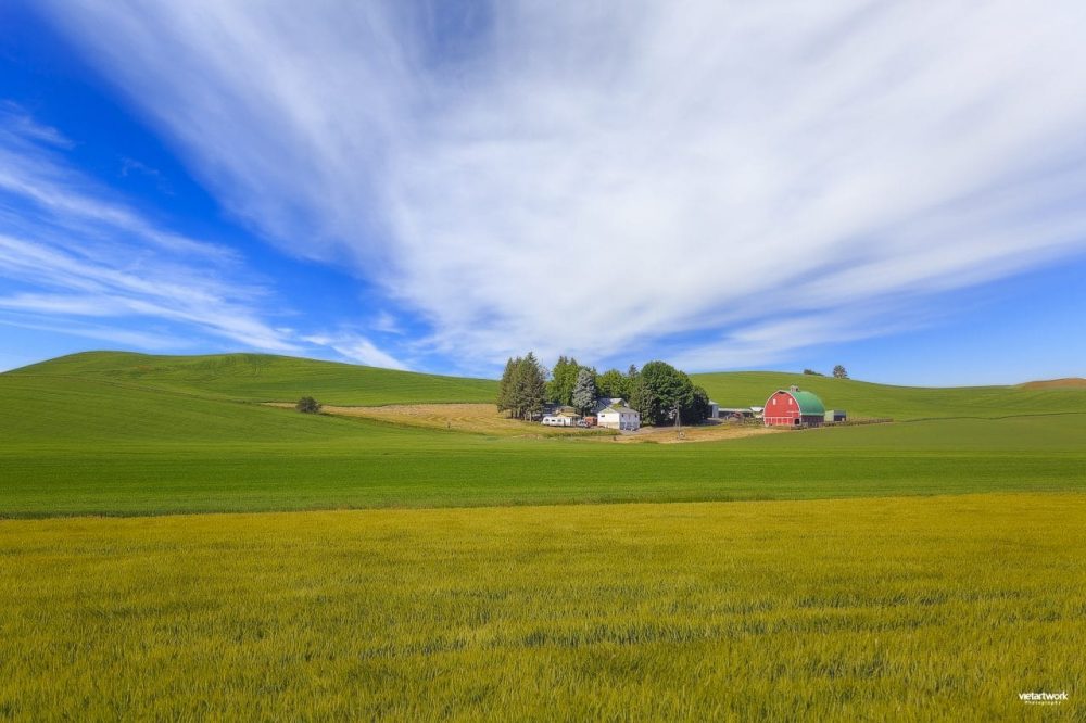 Nhịp sống nông thôn ở Palouse