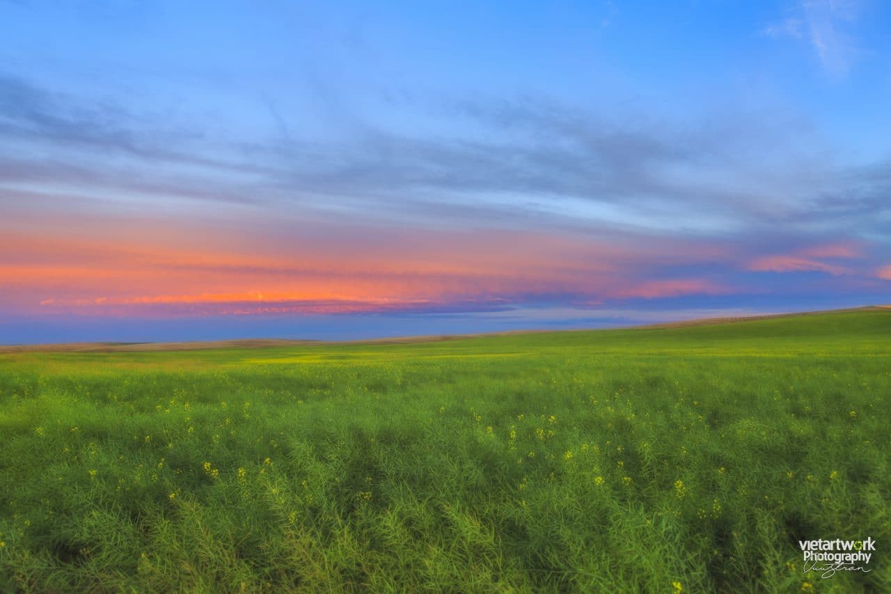 Chiều hoàng hôn ở Palouse