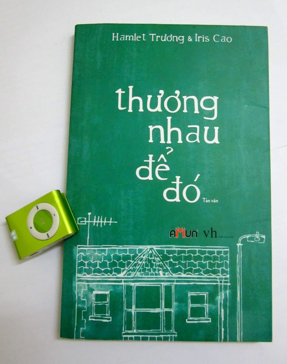 Cuốn sách đầu tay của Iris Cao cùng hợp tác với Hamlet Trương xuất bản