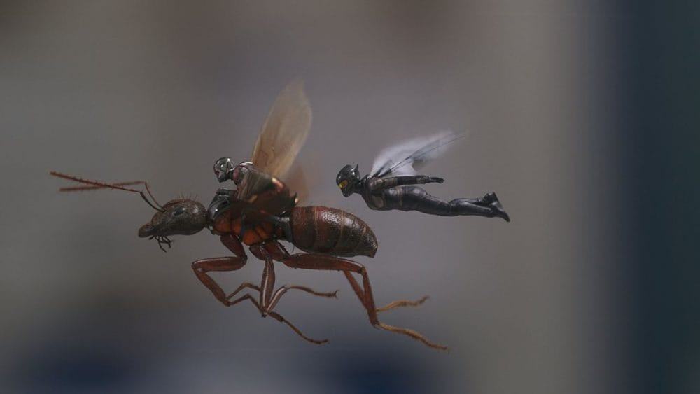 Ảnh trong phim Ant Man and the Wasp