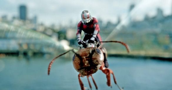Phim Ant Man and the Wasp