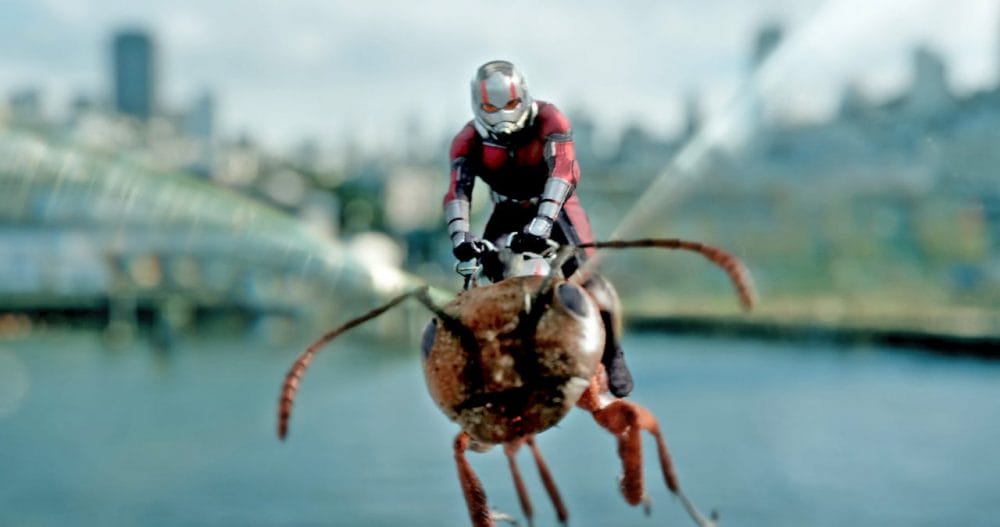 Siêu anh hùng Ant Man