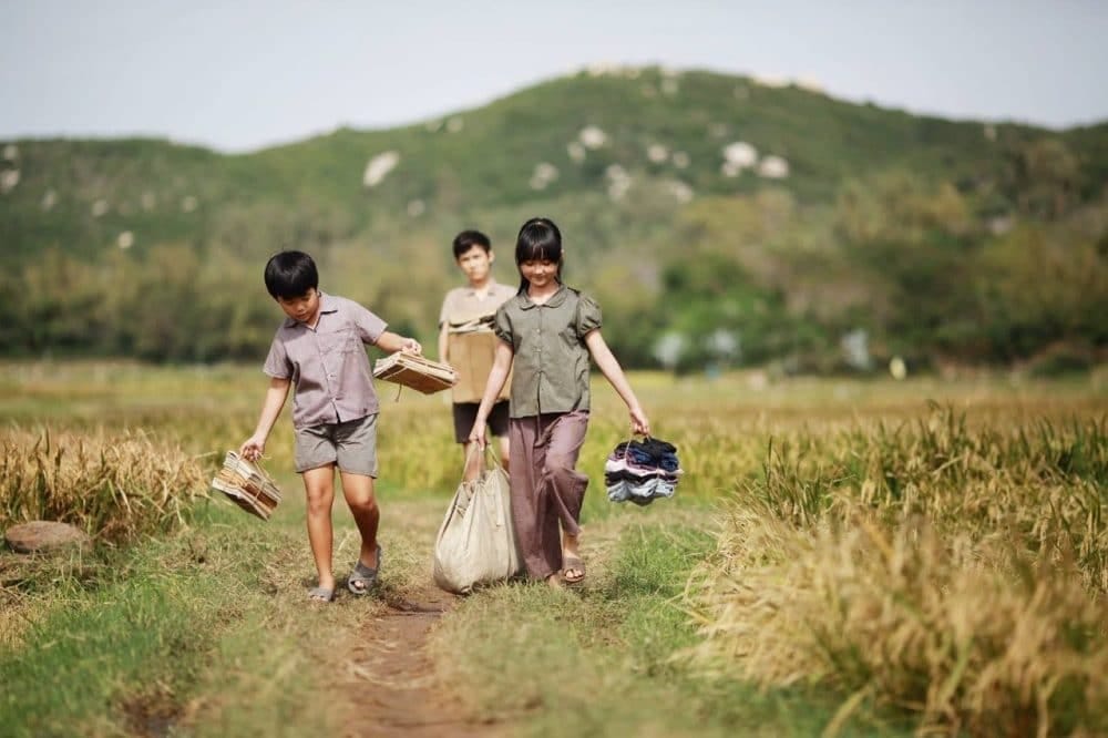 phim tôi thấy hoa vàng trên cỏ xanh