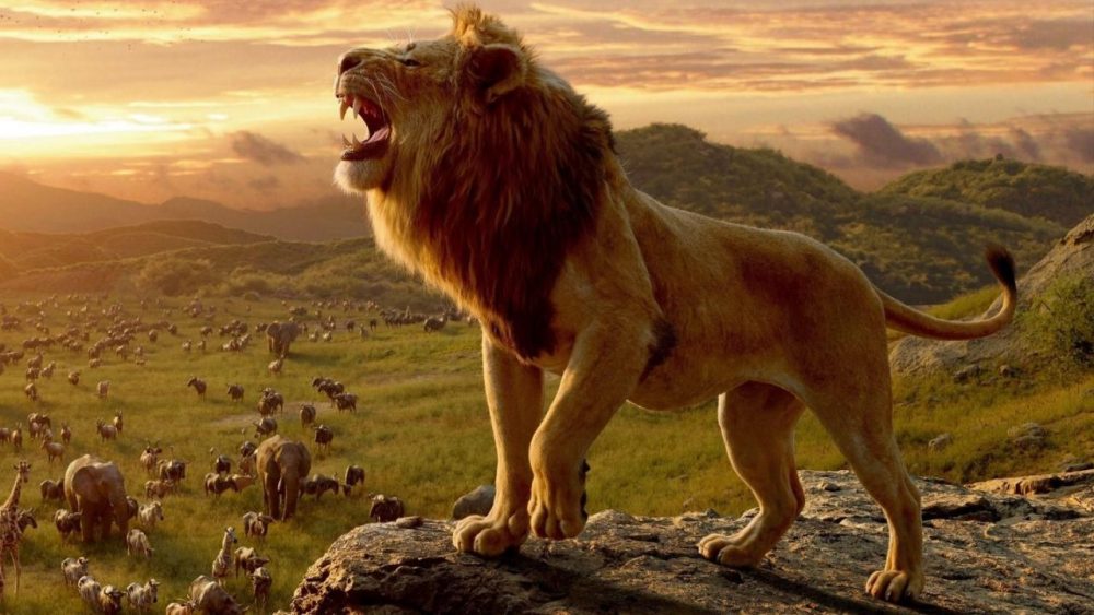 Nhân vật Mufasa trong phim