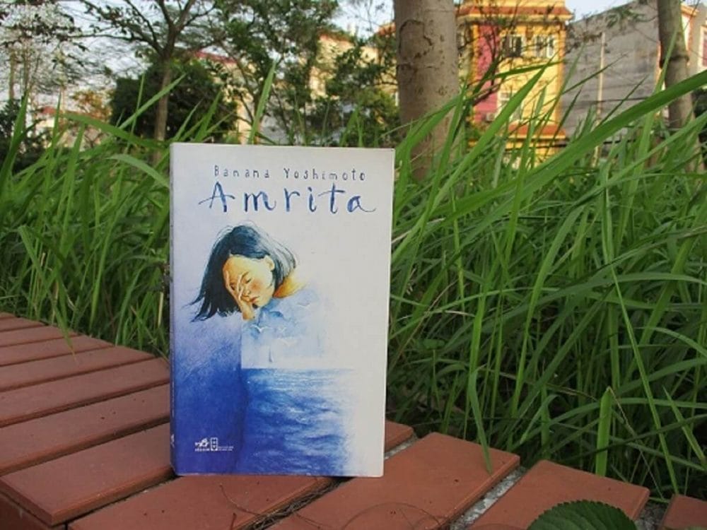 Ảnh minh họa bìa sách Amrita