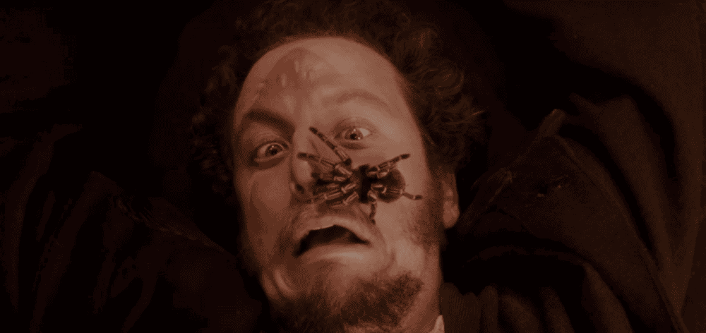 Daniel Stern và con nhện thật khổng lồ trong ở nhà một mình