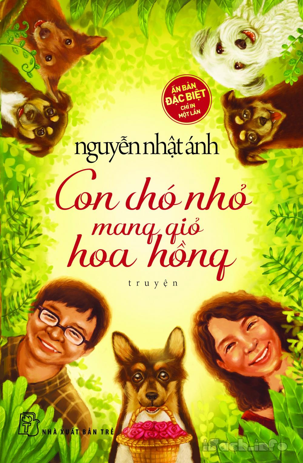 Con chó nhỏ mang giỏ hoa hồng bản đặc biệt