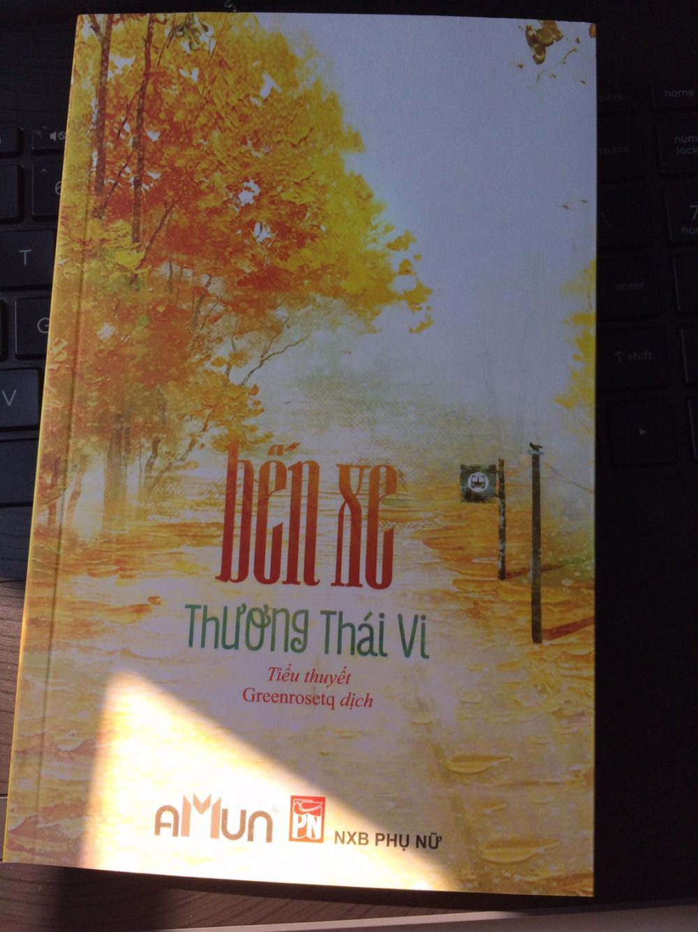 Tiểu thuyết này đã khắc họa đầy đủ nỗi đau của Chương Ngọc 
