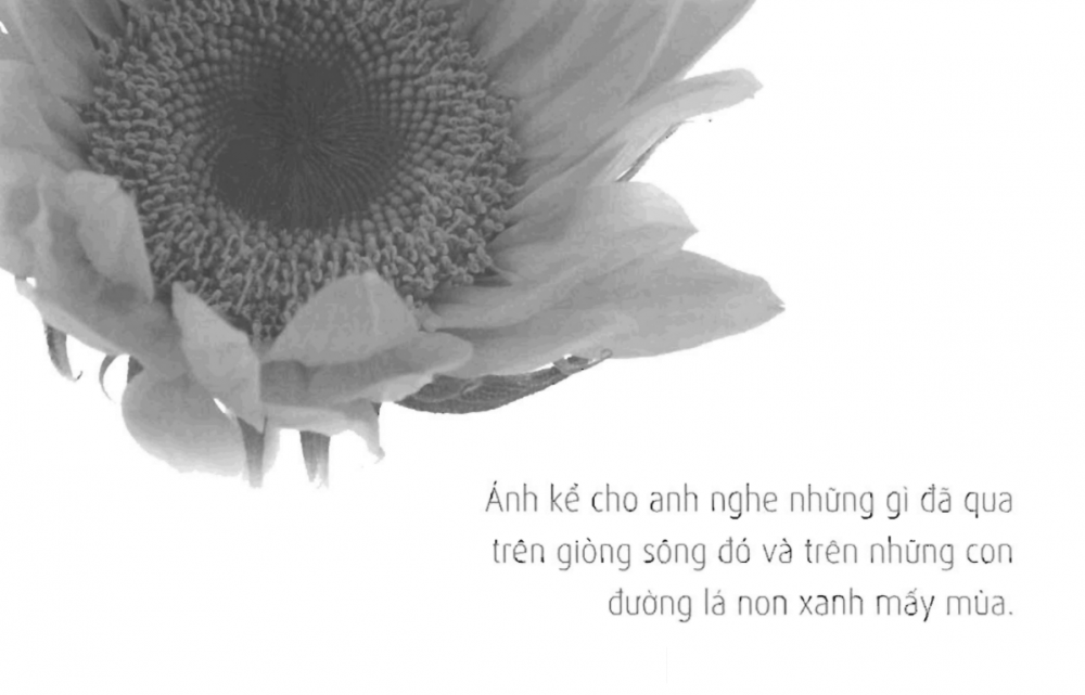 Trích đoạn Thư tình gửi một người