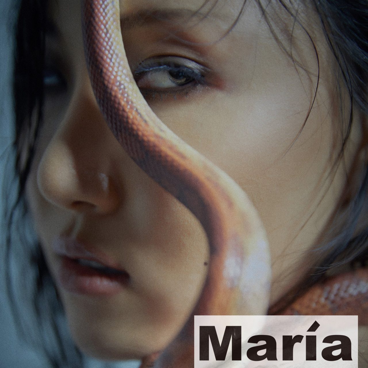 Ca khúc Maria
