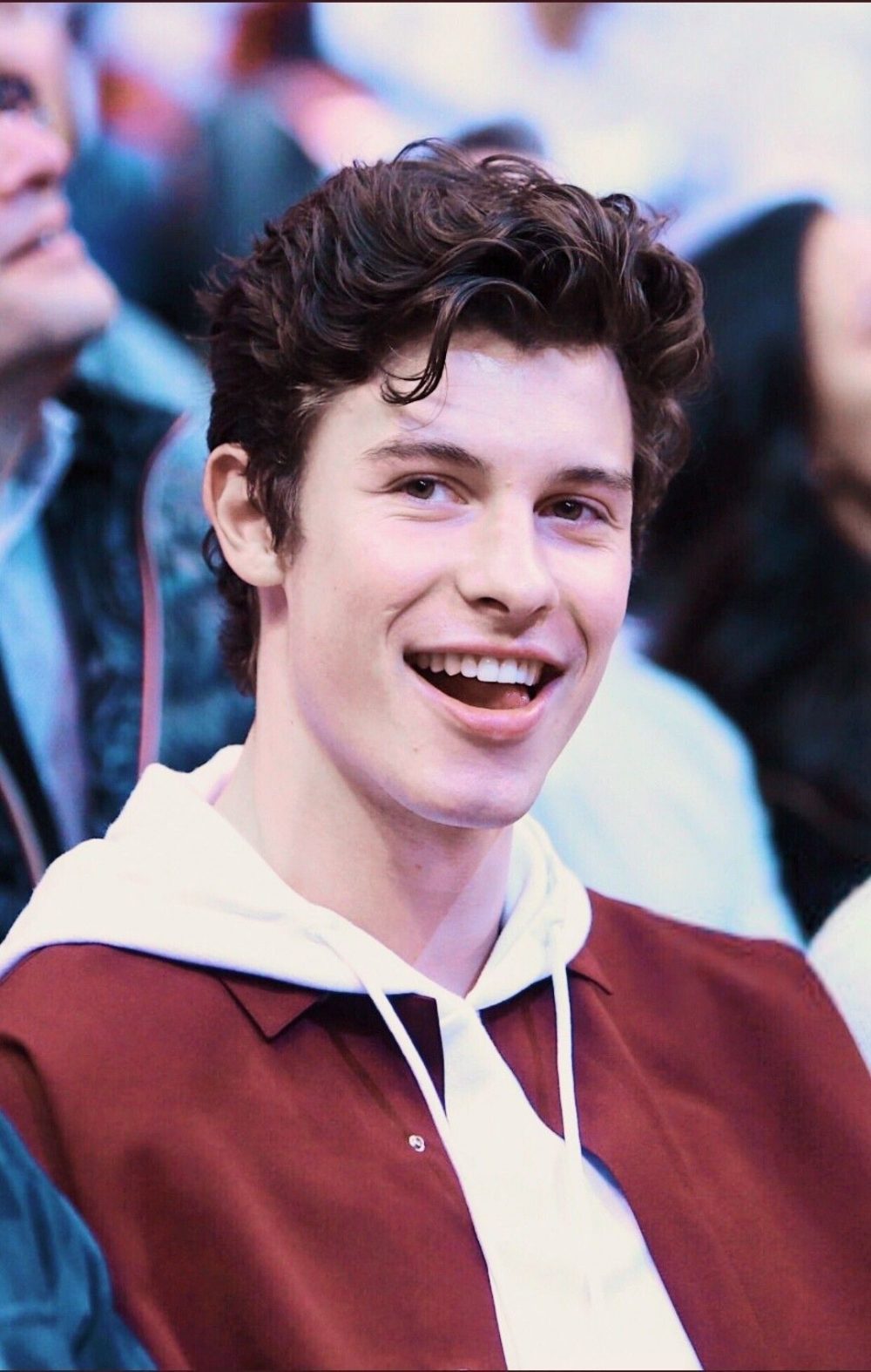 Shawn Mendes và thành tích xuất sắc trong sự nghiệp