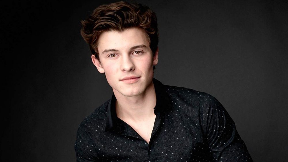 chân dung ca sĩ Shawn Mendes