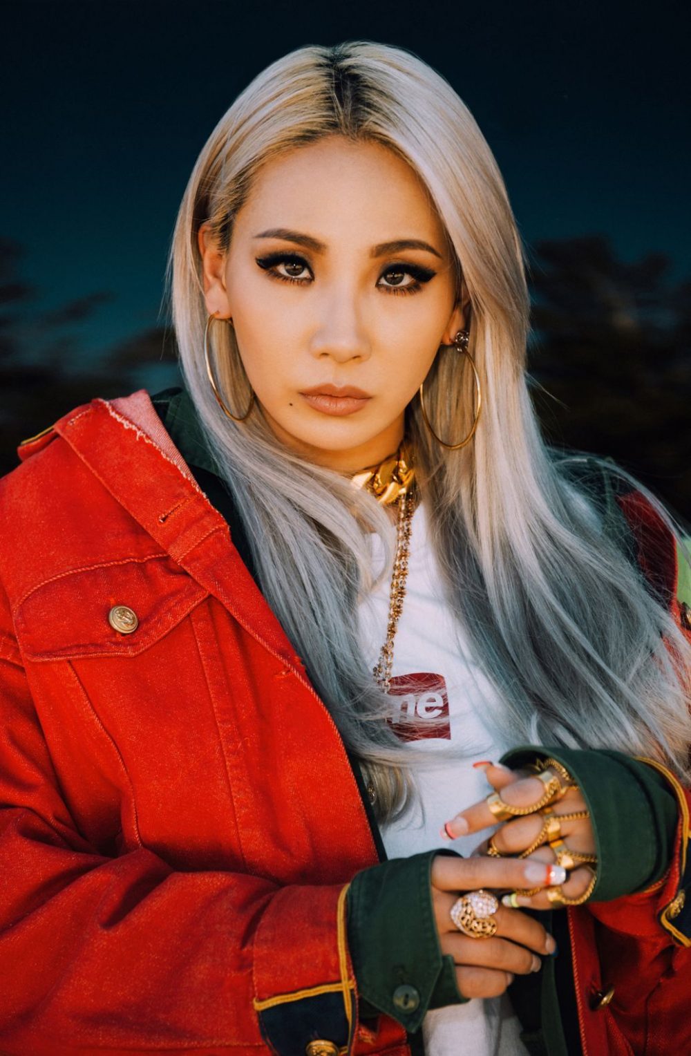Chae-rin từng là thực tập sinh của JYP