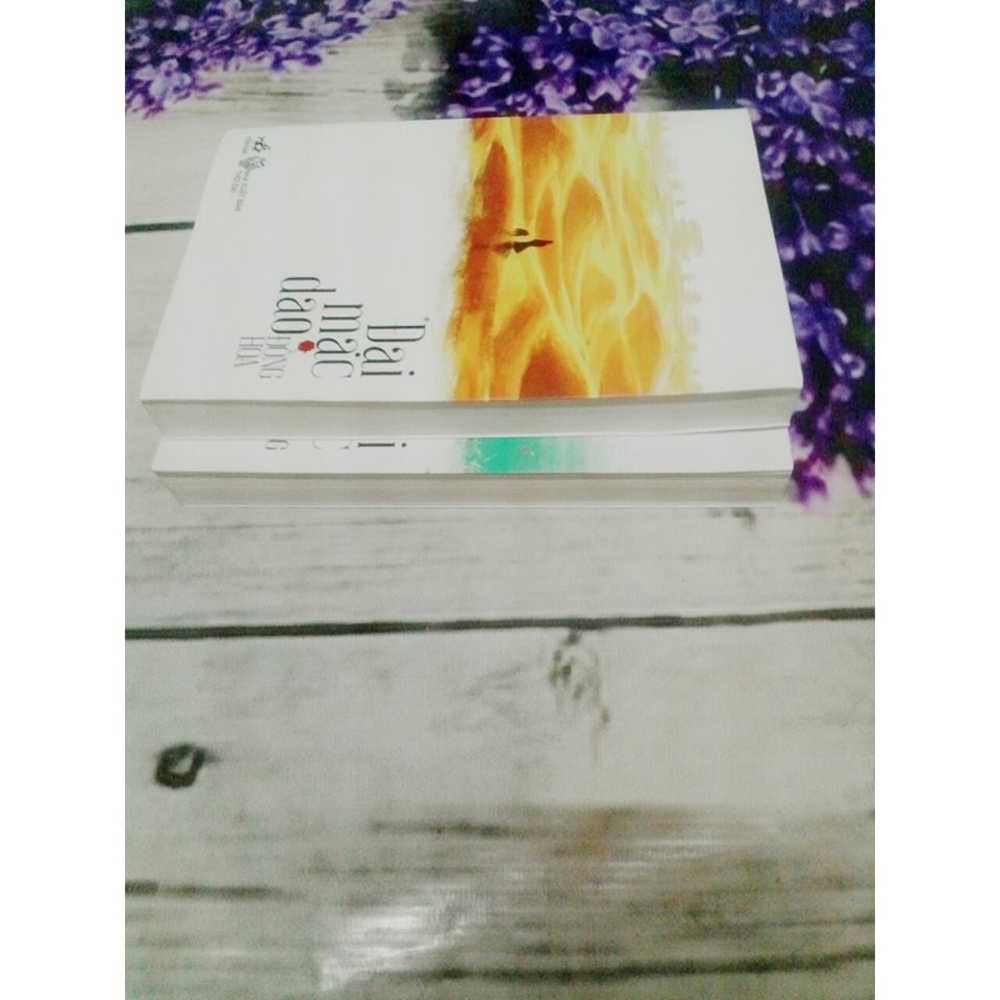Bìa của tác phẩm 