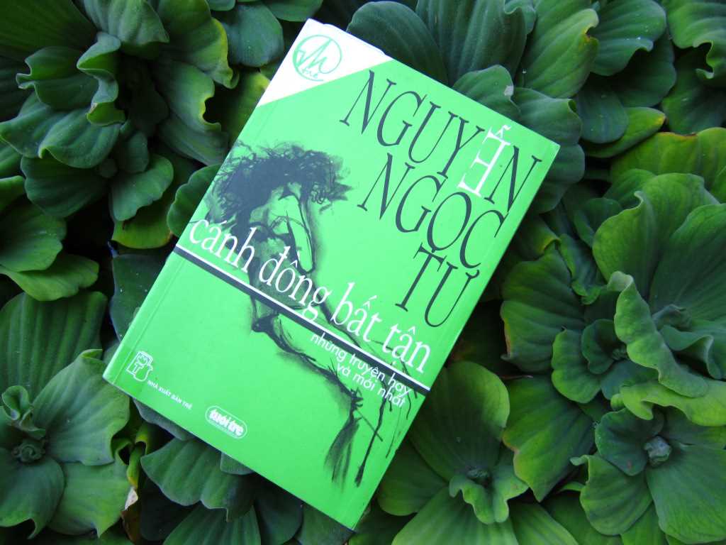 Có tình người ngát thơm như Cánh đồng bất tận chạy ngút chân trời