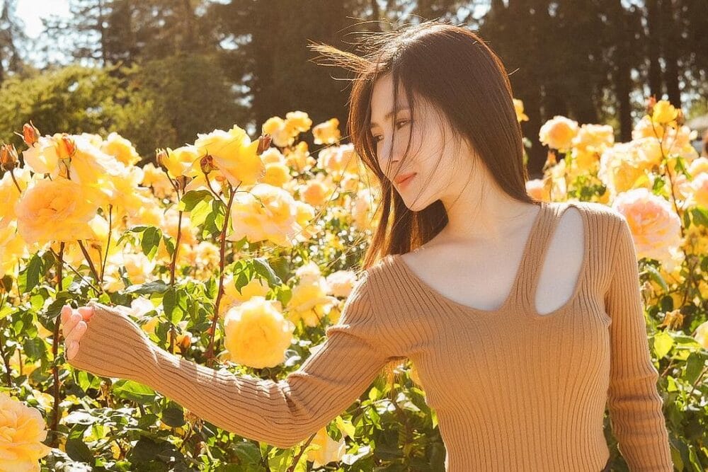 Hương Tràm và những khuất tất sau ánh hào quang