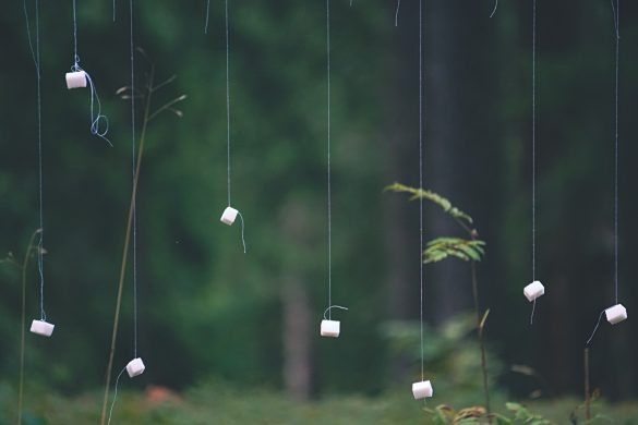 Em có yêu bản thân mình không em