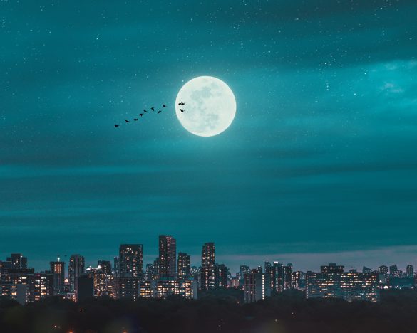 Ừ cũng chỉ là một chuyến đi thôi