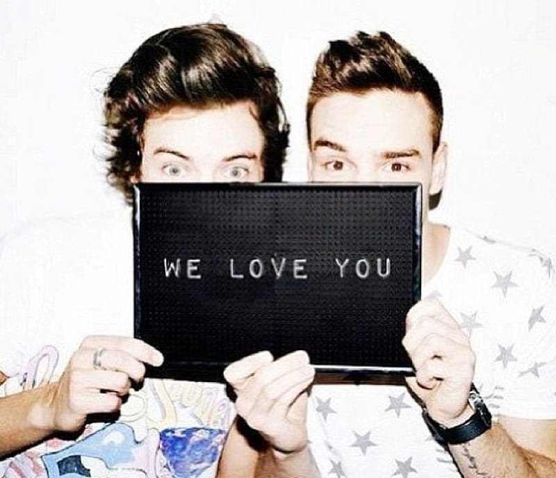 Hai thành viên One Direction tham gia hoạt động vì cộng đồng
