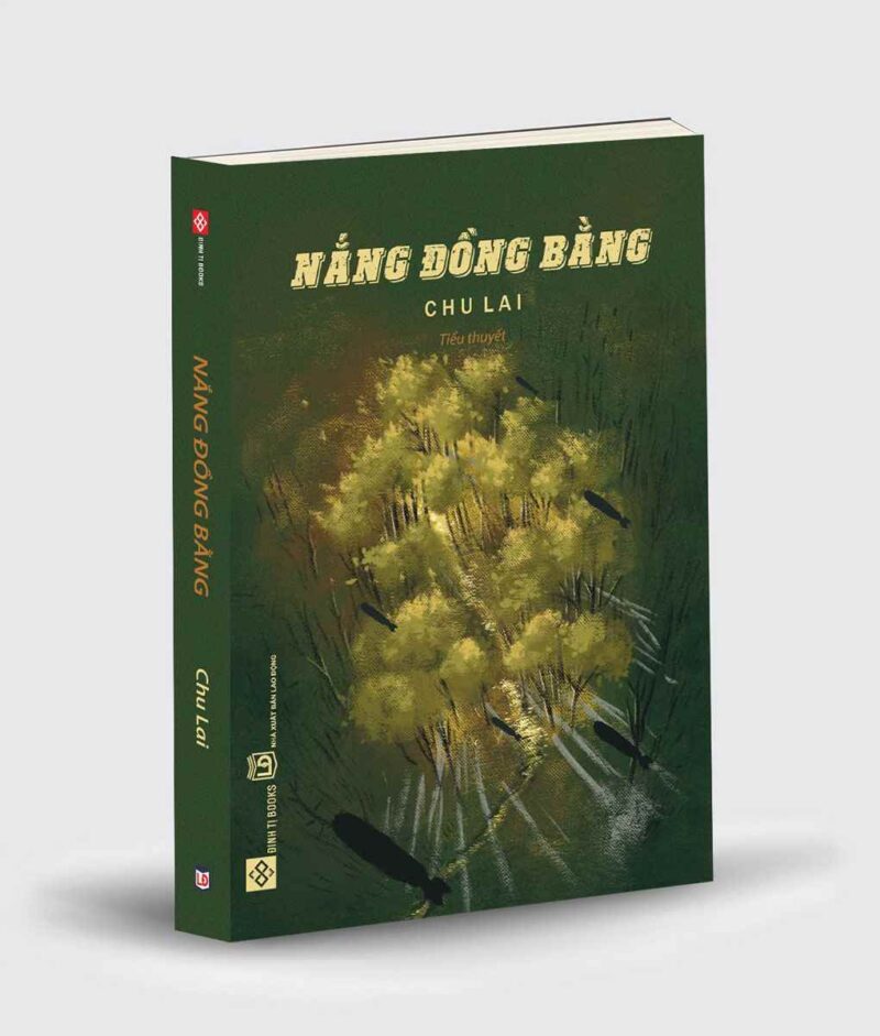 Tiểu thuyết Nắng đồng bằng