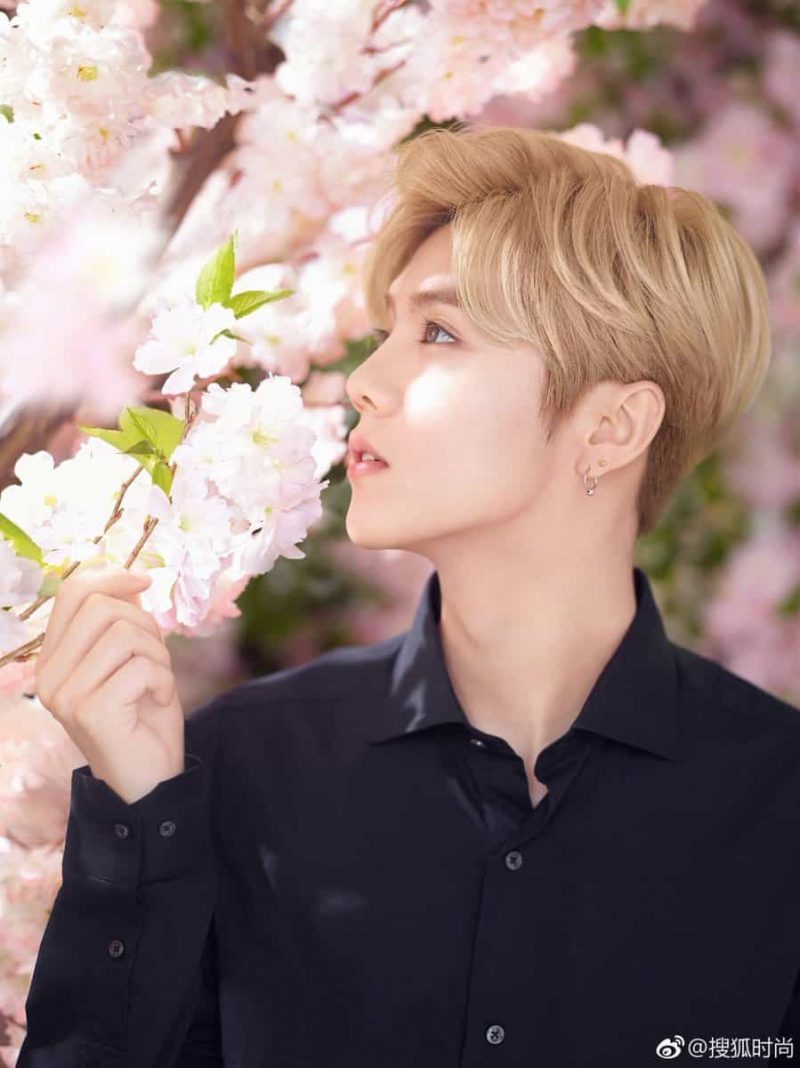 Luhan trở thành một mảnh ghép của đội hình EXO-M