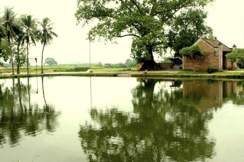 Ảnh minh họa cho nông thôn Bắc Bộ