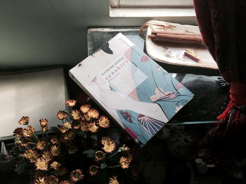Hình ảnh bìa của cuốn sách Sanshiro do nhà văn Natsume Soseki chắp bút
