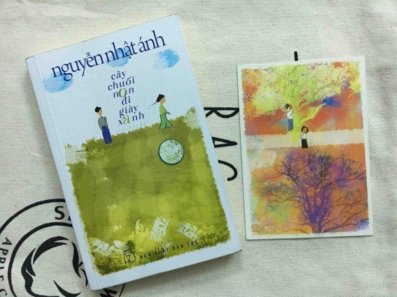 Cây chuối non đi giày xanh