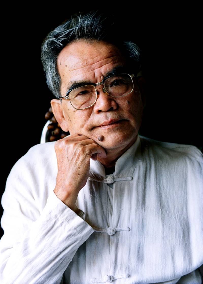 Chân dung nhà văn Hoàng Phủ Ngọc Tường
