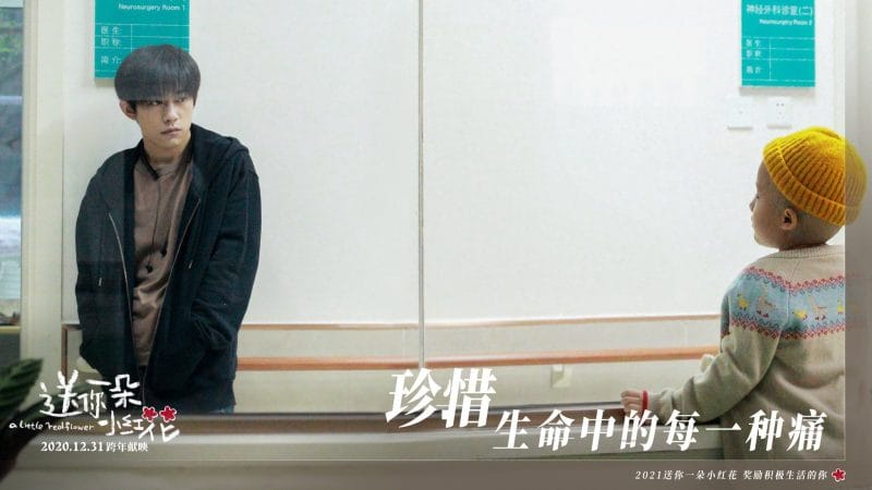 Tặng bạn một đóa hoa nhỏ màu đỏ đạt điểm khá cao trên Douban