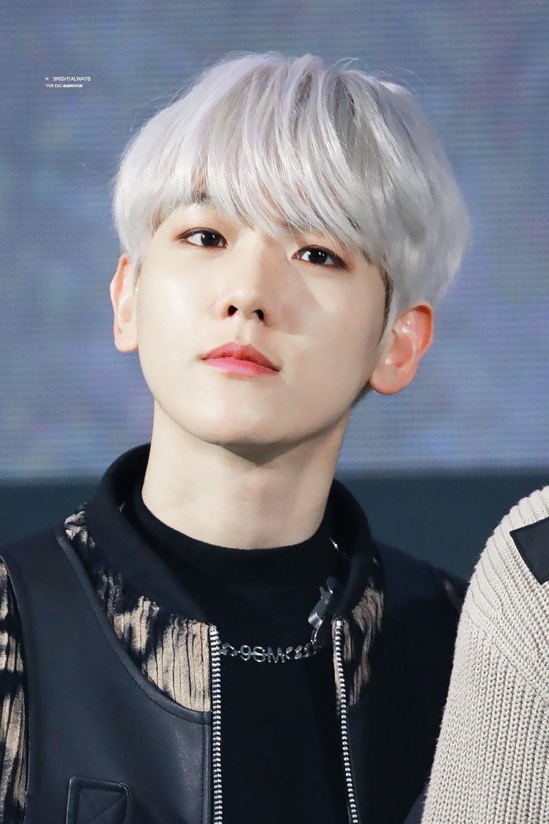 Anh đảm nhận vai trò hát chính cho EXO